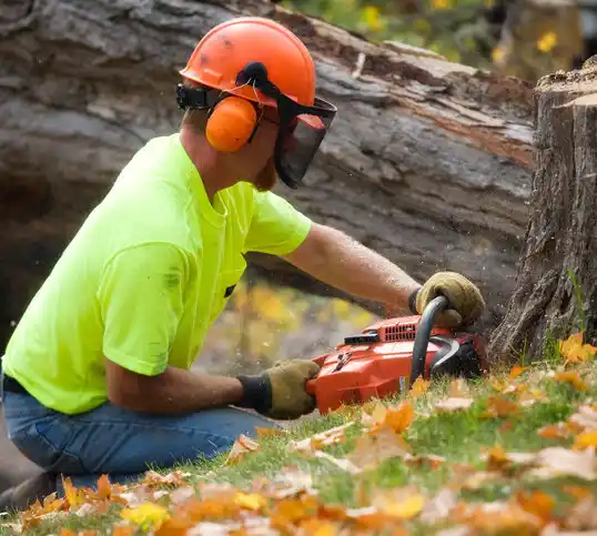 tree services Crownsville